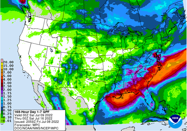 Arkansas Rice Update 7-8-22